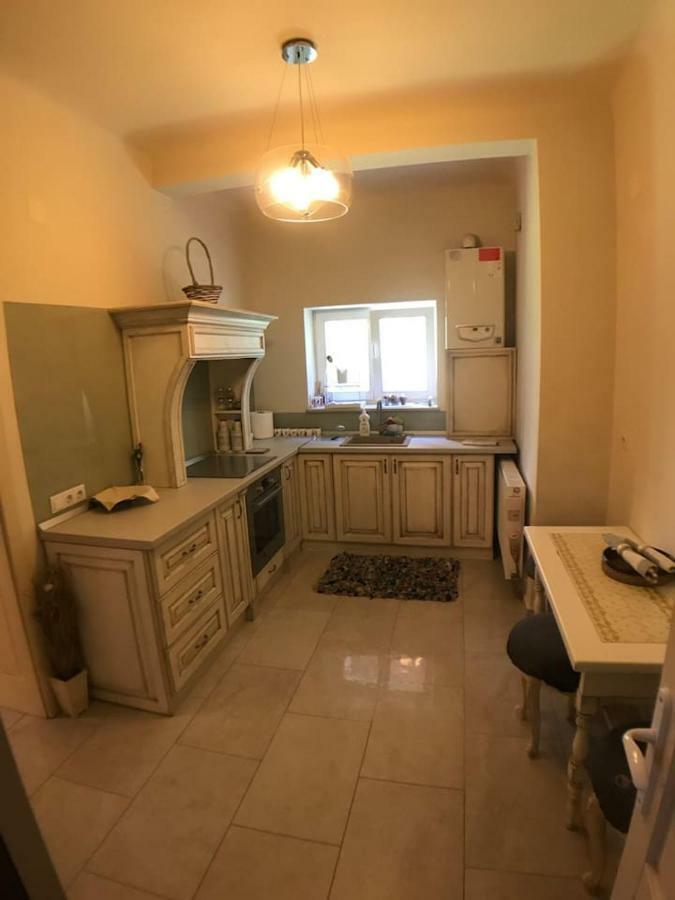 Apartment Vintige Cluj-Napoca Esterno foto