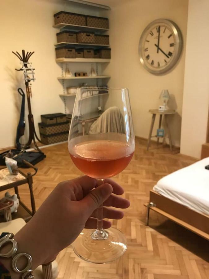 Apartment Vintige Cluj-Napoca Esterno foto