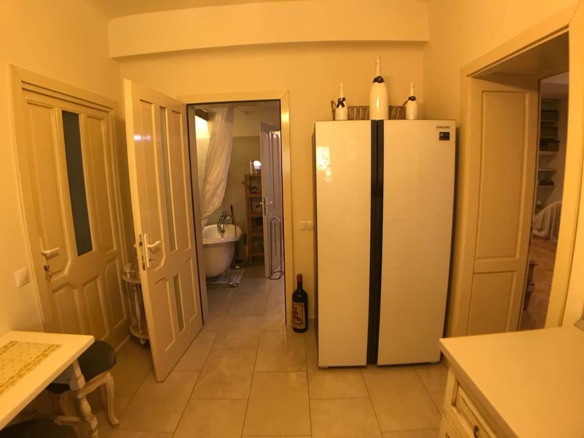 Apartment Vintige Cluj-Napoca Esterno foto